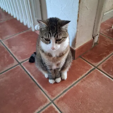 Mon Chez Moi * Cazilhac (Aude)