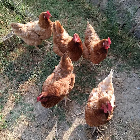 Mon Chez Moi Apartament Cazilhac (Aude)